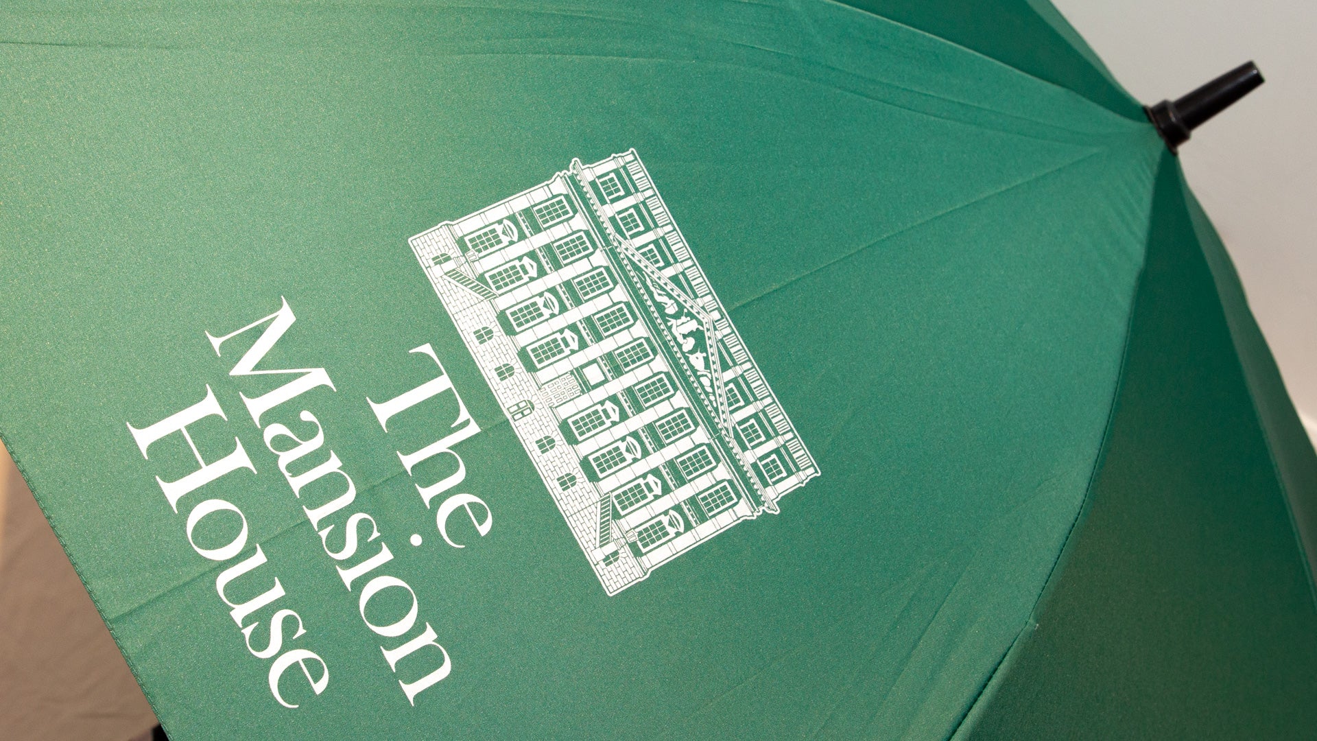 Golf Umbrella - Green