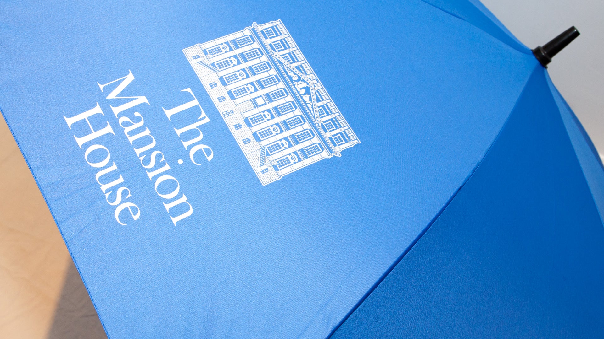 Golf Umbrella - Blue