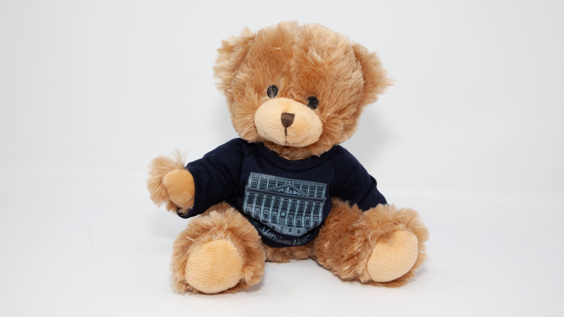 Teddy Bear - Blue