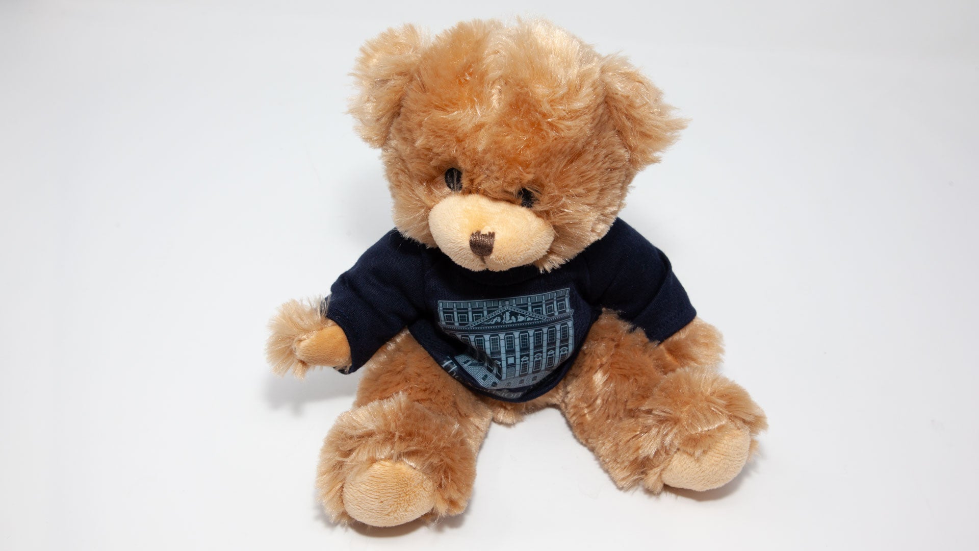 Teddy Bear - Blue