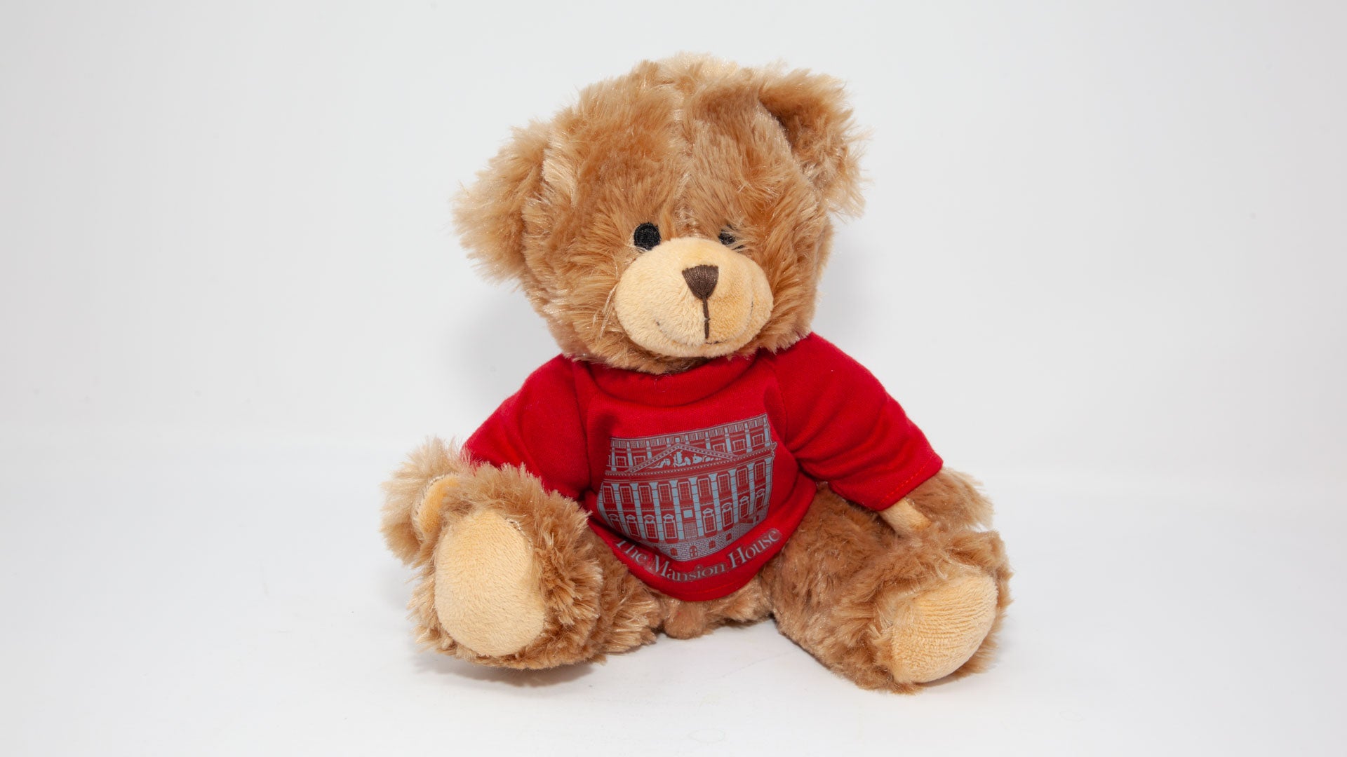 Teddy Bear - Red