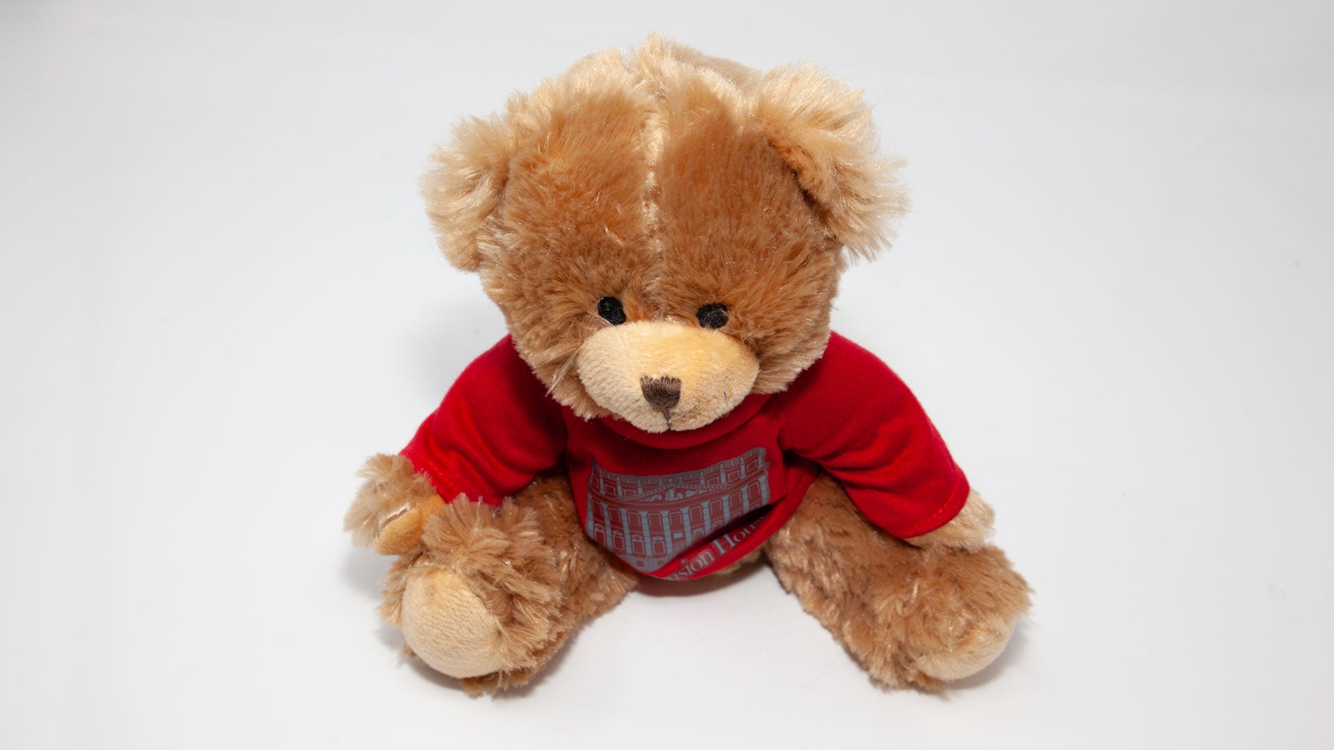 Teddy Bear - Red